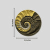 31X31 Inch Fossil Spiral Abstract 3D Relief Mural Wall Art