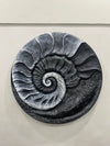 31X31 Inch Fossil Spiral Abstract 3D Relief Mural Wall Art