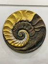 31X31 Inch Fossil Spiral Abstract 3D Relief Mural Wall Art