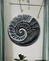 31X31 Inch Fossil Spiral Abstract 3D Relief Mural Wall Art