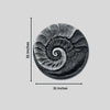 31X31 Inch Fossil Spiral Abstract 3D Relief Mural Wall Art