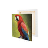Colorful Parrot on Tree Original Design Canvas Printed Wall Painting